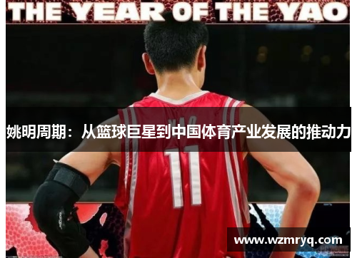 姚明周期：从篮球巨星到中国体育产业发展的推动力